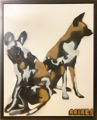 Dingo